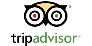 tripadvisor